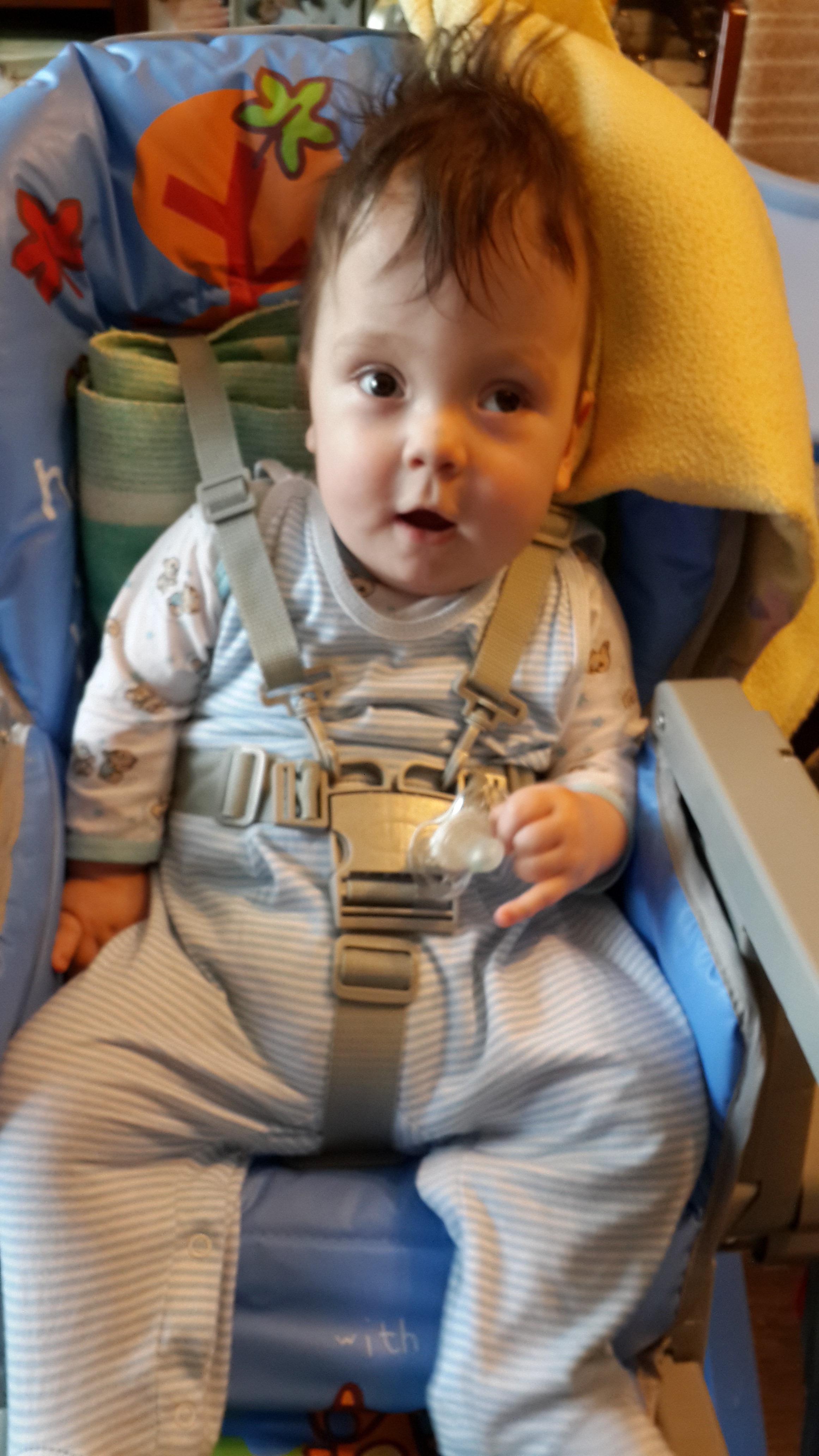 ������ ������