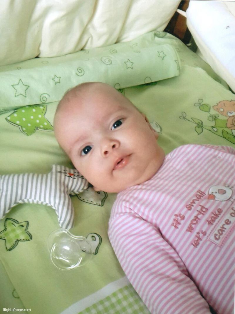 ������ �����