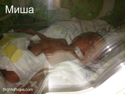 ������� ������ ���������